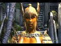 KonsoliFINin Shivering Isles -matkaopas