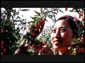 Gary Young and Ningxia Red Wolfberry Juice - Part One Gary Young and Ningxia Red Wolfberry Juice - Part One