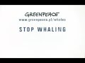 Greenpeace campaign 