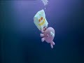 Animal Planet: JellyFish-Biodegradable