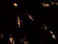 videos de b4 San Severo SanSevero 2008 20 maggio Festa Soccorso fuochi