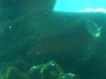 Sealife Park Omilu\