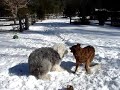 Mick and Sydney