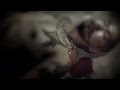 S.H.O Toxicity Video and Lyrics