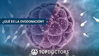 18 - ¿Qué es la Ovodonación?