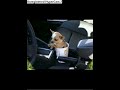 cute animals cute animals