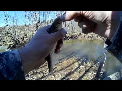 на что ловить рыбу весной видео на на что ловить рыбу весной видео на