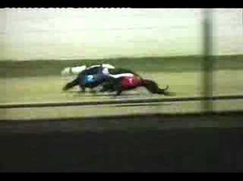 slip road greyhound racing