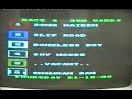 maltese-dog-racing.html