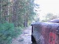Driving through Siberia