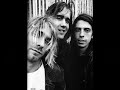 Music video by Nirvana performing Smells Like Teen Spirit with Samuel Bayer [Video Director], Eileen Malyszko [Video Producer], Samuel Bayer [Director of Photography], Angus Wall [Video Editor] (C) 1991 Geffen Records ... Nirvana Smells Like Teen Spirit Rock GEFFEN Samuel Bayer [Video Director] Eileen Malyszko Producer] [Director of Photography] Angus Wall Editor] 