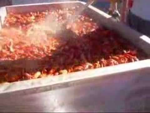 Crawfish boil part 3