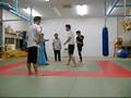 videos de 拆招 金鸡独立 二 金鶏独立