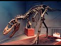 Tribute to Albertosaurus