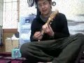 Ukulele - Coma Girl
