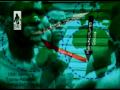 Persecuted Jews Iz Blacks (July 23rd Special) Persecuted Jews Iz Blacks (July 23rd Special)