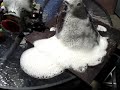 Homemade Volcano Eruption Homemade Volcano Eruption