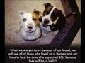 BSL tearing family's apart