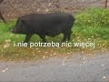 we? mnie na r?ce we? mnie na r?ce