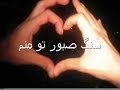 MaNDeGaR-Shadmehr Aghili MaNDeGaR-Shadmehr Aghili