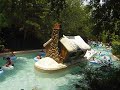 Blizzard Beach Ice Gator Blizzard Beach Ice Gator