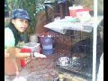 Maica's Doggie