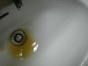 DSCN3372