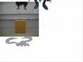 イーバンク動画12