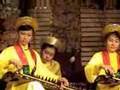 Dan Tranh performance (No. VA)