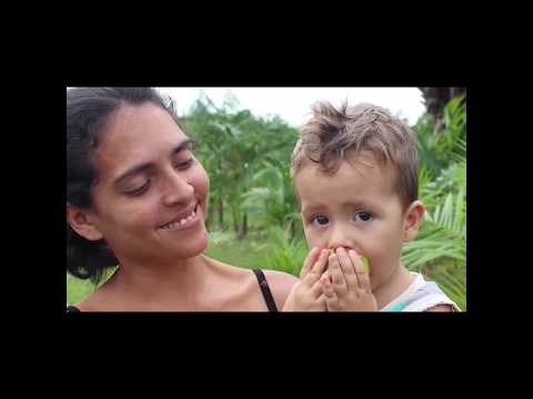 Comida de verdade na Amazônia