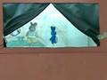videos de Muppets qfb (nucleo pt2)