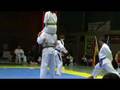 Taekwondo ETF World Championship 2007 - Artistik Bruchtest