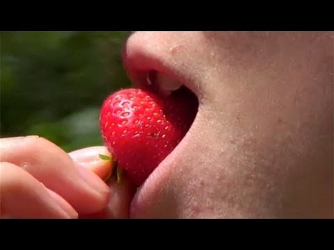 TheGuardian - Click here for a review of the Serpentine pavilion 2013 http://vid.io/xs8 Laure Prouvost seduces at Whitechapel Gallery interview NSFW Subscribe to the Guard...