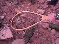 truchon pantano perdiguero