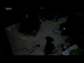 Anak Medan Kali -Views : 0