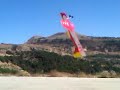 vison 3D hovering Gaby Korkomaz Lebanon.3GP - foto 3