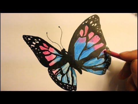 how to draw draw a butterfly