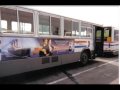 BLAST FROM THE PAST PART 32,WMATA BUS #5127