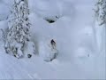 The best of slednecks 8