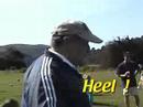 Dave Fromer Soccer for kids