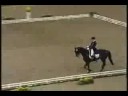One Step at a Time- Horses