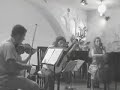 first world performance: variations & canon (part 1) have been composed by smaro gregoriadou in 2003 and have been premiered in the same year in a live concert in athens (diethnes odeio, 28/6/03), from where this video comes. guitar: smaro gregoriadou, violin: stefanos rudini-mila, cello: marilenna vassou.