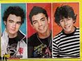 the Jonas Bothers Rock!