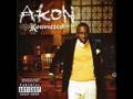 Akon - Shake Down