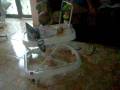 videos de Rebeca vibrando.AVI