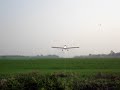spraying rice