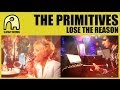 Primitives Lose The Reason Video and Lyrics
