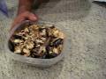 videos de Receiving B. Dubia Roaches from Travis K