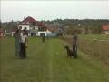 sito_kragujevac.wmv