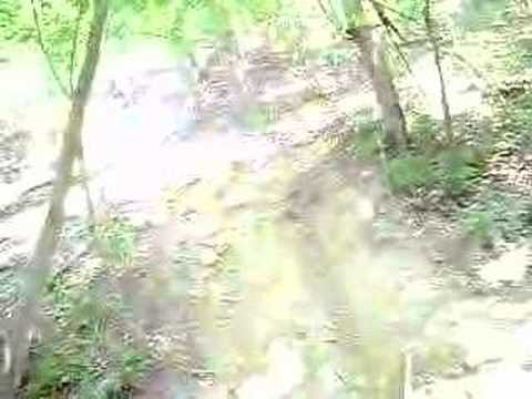 claudian no motocross